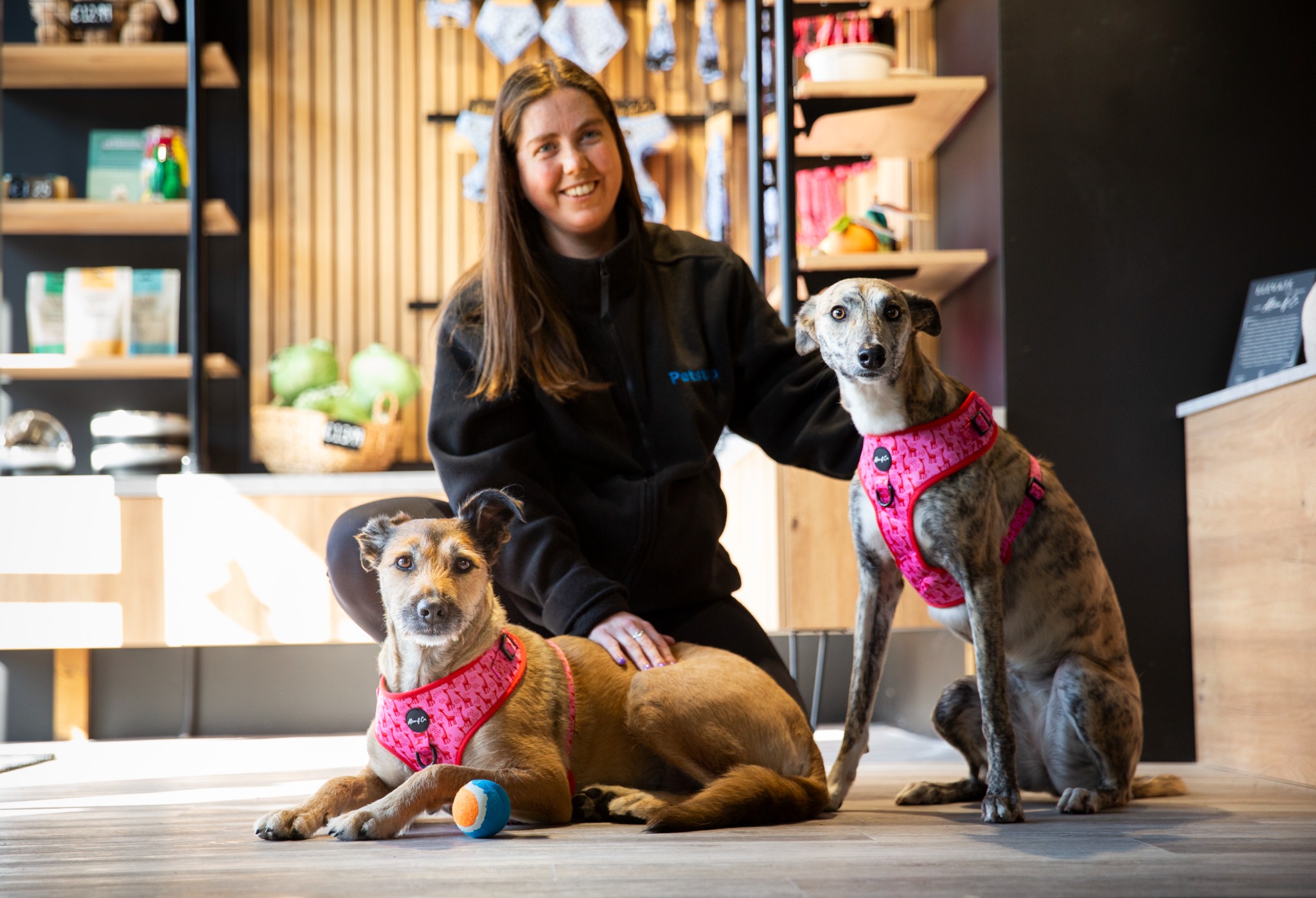 Petstop Rathmines